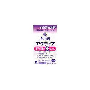 【第3類医薬品】３個　送料無料　168錠　命の母　アクティブ　168錠  いのちのはは　   女性の...