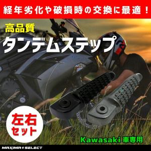 SIMOTA カーボンミラー GPZ900R 正規品】simotaカーボンミラープレートLサイズ(50〜61mmピッチ