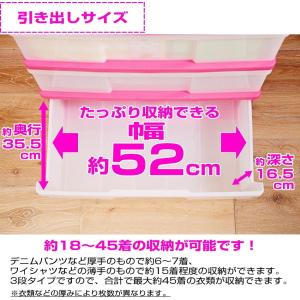 衣装ケース 選べるカラーセット 2台組 プラス...の詳細画像5