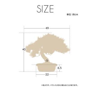 盆栽 松 アレンジ盆栽 富士の松 フェイクグリ...の詳細画像1