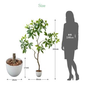 人工観葉植物 パキラ 光触媒 フェイクグリーン...の詳細画像1