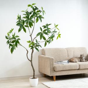 人工観葉植物 パキラ 光触媒 フェイクグリーン...の詳細画像3