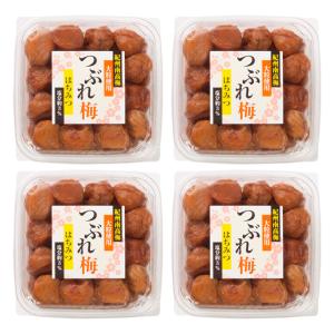 紀州南高梅つぶれ梅 塩分約3% 4kg 紀州南高梅はちみつ 紀州南高梅