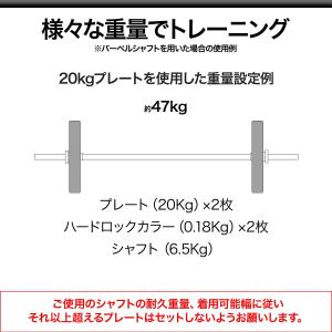 バーベル 用 プレート 20kg 2個セット ...の詳細画像2