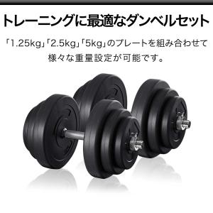 ダンベル 可変式 20kg 2個セット合計 4...の詳細画像1