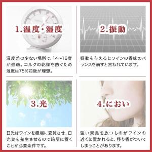 ワインセラー 家庭用 小型 スリム 幅約26c...の詳細画像3