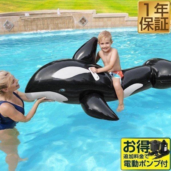 フロート 浮き輪 うきわ くじら型フロート ジャンボ ホエールライダー 大型 電動ポンプ 空気入れ ...