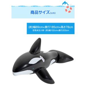 フロート 浮き輪 うきわ くじら型フロート ジ...の詳細画像2