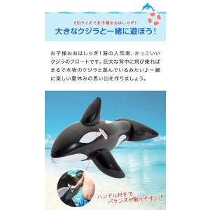 フロート 浮き輪 うきわ くじら型フロート ジ...の詳細画像3