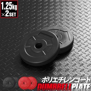 バーベル 用 プレート 10kg 2個セット ポリエチレンコート 追加