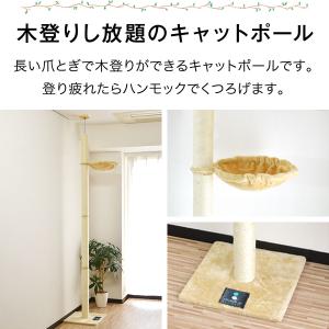 キャットツリー タワー 麻ひも 突っ張り 全高...の詳細画像1