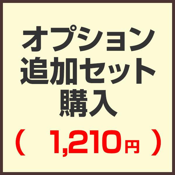 オプション追加セット購入ページ （セットで購入済みの為こちらから購入する必要はありません）（1,21...