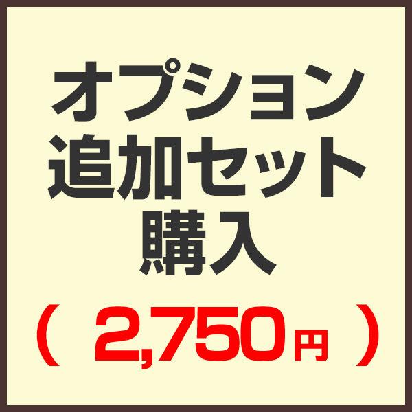 オプション追加セット購入ページ （セットで購入済みの為こちらから購入する必要はありません）（2,75...