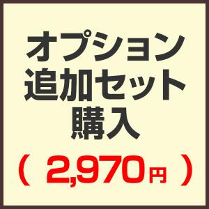 オプション追加セット購入ページ（2,970円)