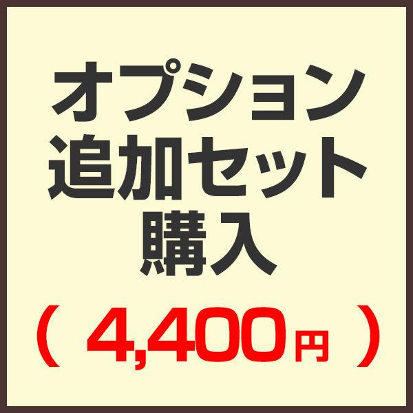オプション追加セット購入ページ （セットで購入済みの為こちらから購入する必要はありません）（4,40...