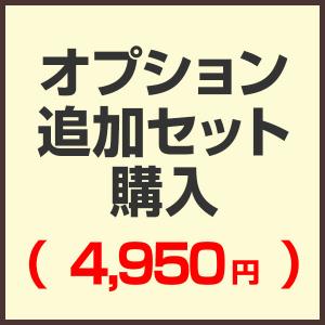 オプション追加セット購入ページ （セットで購入済みの為こちらから購入する必要はありません）（4,950円)