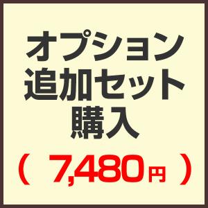 オプション追加セット購入ページ （セットで購入済みの為こちらから購入する必要はありません）（7,480円)