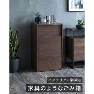 ゴミ箱 プッシュ式 45リットル ダストボック...の詳細画像1