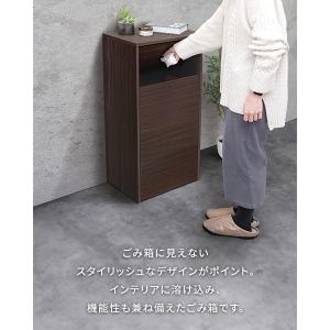 ゴミ箱 プッシュ式 45リットル ダストボック...の詳細画像3