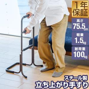 イーサプライ（e-supply） 立ち上がり補助手すり 補助器具 介助 軽量