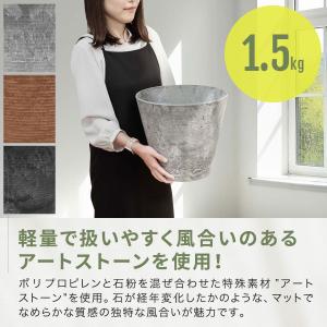 プランター 大型 スリム 直径32cm×29c...の詳細画像3