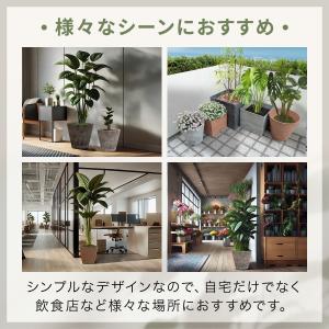 プランター 大型 スリム 直径32cm×29c...の詳細画像4
