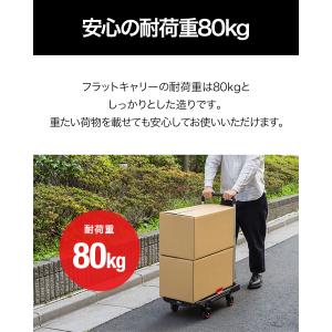 台車 折りたたみ 折りたたみ台車 軽量 コンパ...の詳細画像5