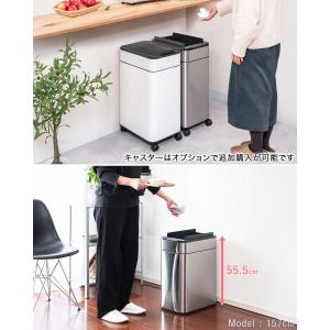 ゴミ箱 自動開閉 50L ふた付き スリム 幅...の詳細画像2