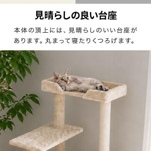 1年保証 キャットツリー 据え置き スリム 省...の詳細画像4
