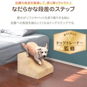 犬 階段 ステップ 2段 なだらか ドッグステ...の詳細画像1