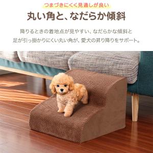 犬 階段 ステップ 2段 なだらか ドッグステ...の詳細画像2