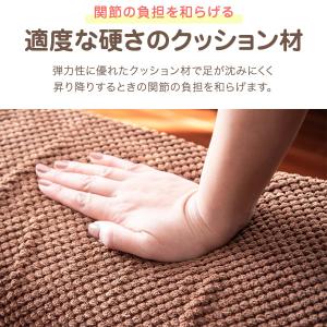 犬 階段 ステップ 2段 なだらか ドッグステ...の詳細画像5