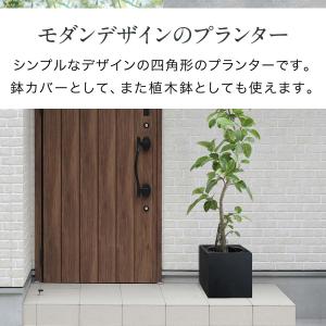 プランター 大型 30×30cm スクエア 正...の詳細画像1