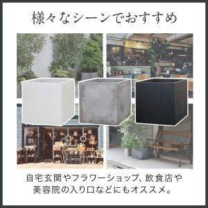 プランター 大型 30×30cm スクエア 正...の詳細画像4