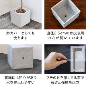 プランター 大型 30×30cm スクエア 正...の詳細画像5