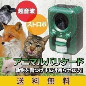 1年保証 猫よけ 猫対策 猫撃退 カラスよけ 害獣撃退 アニマルトラップ アニマル バリア バリケード 超音波 ストロボライト ソーラー充電 USB ガーデン 送料無料