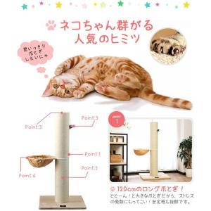 爪とぎ 猫 ねこ 麻 麻縄 綿縄 直径 20c...の詳細画像2