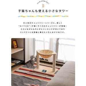 キャットツリー 据え置き 爪とぎ ハンモック ...の詳細画像3