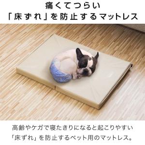 ヤフー1位 ペット 床ずれ 防止 クッション ...の詳細画像1