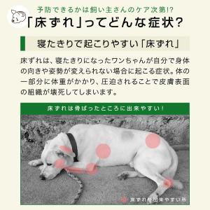ヤフー1位 ペット 床ずれ 防止 クッション ...の詳細画像2