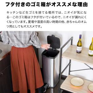 ゴミ箱 ごみ箱 おしゃれ キッチン ダストボッ...の詳細画像3