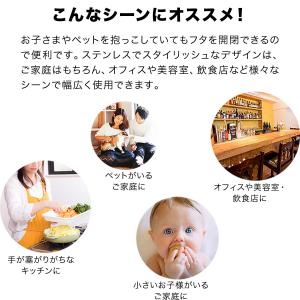 ゴミ箱 ごみ箱 おしゃれ キッチン ダストボッ...の詳細画像4