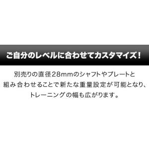 バーベル 用 プレート 穴あき 10kg 2個...の詳細画像2