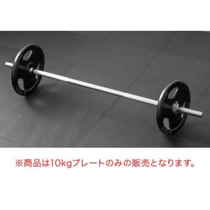 バーベル 用 プレート 穴あき 10kg 2個...の詳細画像3