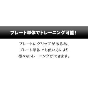 バーベル 用 プレート 穴あき 10kg 2個...の詳細画像5