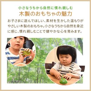 ままごとキッチン 木製 フルーツ 野菜 たべも...の詳細画像2