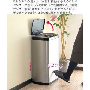 ゴミ箱 ごみ箱 おしゃれ キッチン リム ダト...の詳細画像4