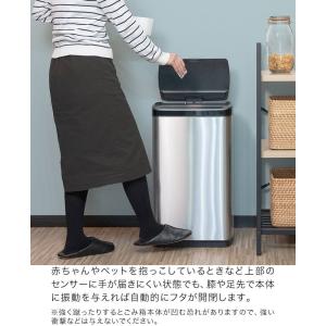 ゴミ箱 ごみ箱 おしゃれ キッチン リム ダト...の詳細画像5