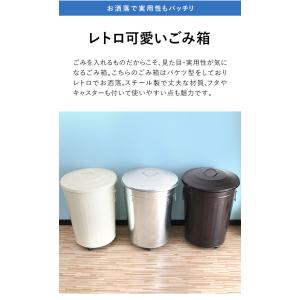 ゴミ箱 ごみ箱 おしゃれ キッチン ダストボッ...の詳細画像2