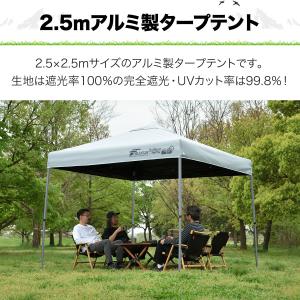 ワンタッチタープテント 2.5m×2.5m 軽...の詳細画像1